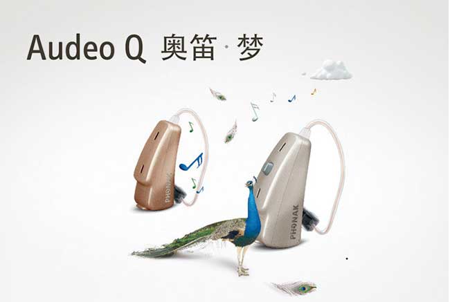 Audeo Q30-10 xP(图1)